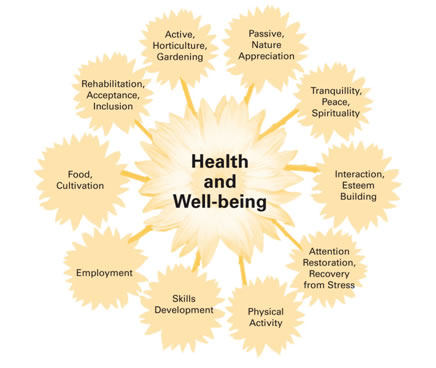 health_and_wellbeing